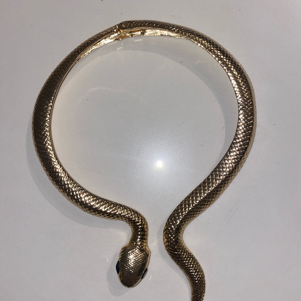Women's Curved Alloy Cuff Snake Choker Necklace
